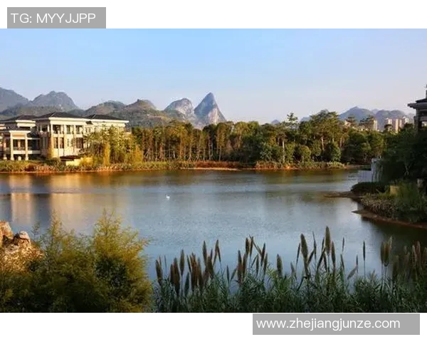 马安村队足球比赛精彩直播回放全记录与精彩瞬间回顾