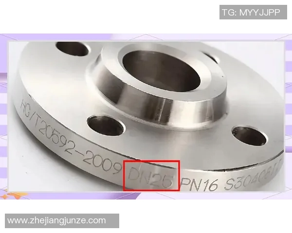 FS法兰与卡尔斯的全面对比分析及市场前景探讨