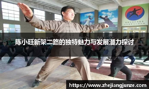 陈小旺新架二路的独特魅力与发展潜力探讨