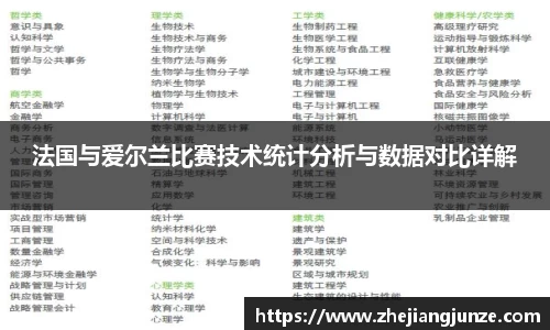 法国与爱尔兰比赛技术统计分析与数据对比详解